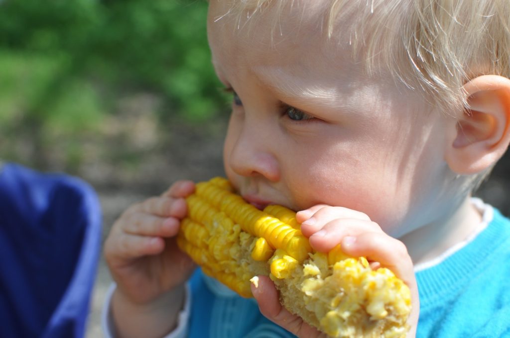 A vegan diet can be bad for children, says Royal Academy of Medicine
