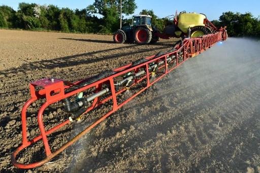 Flanders' fertiliser problem: illegal use higher than thought