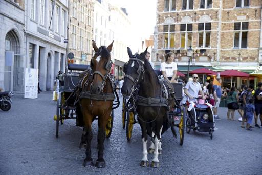 Antwerp joins Ostend in suspending horse-drawn carriages