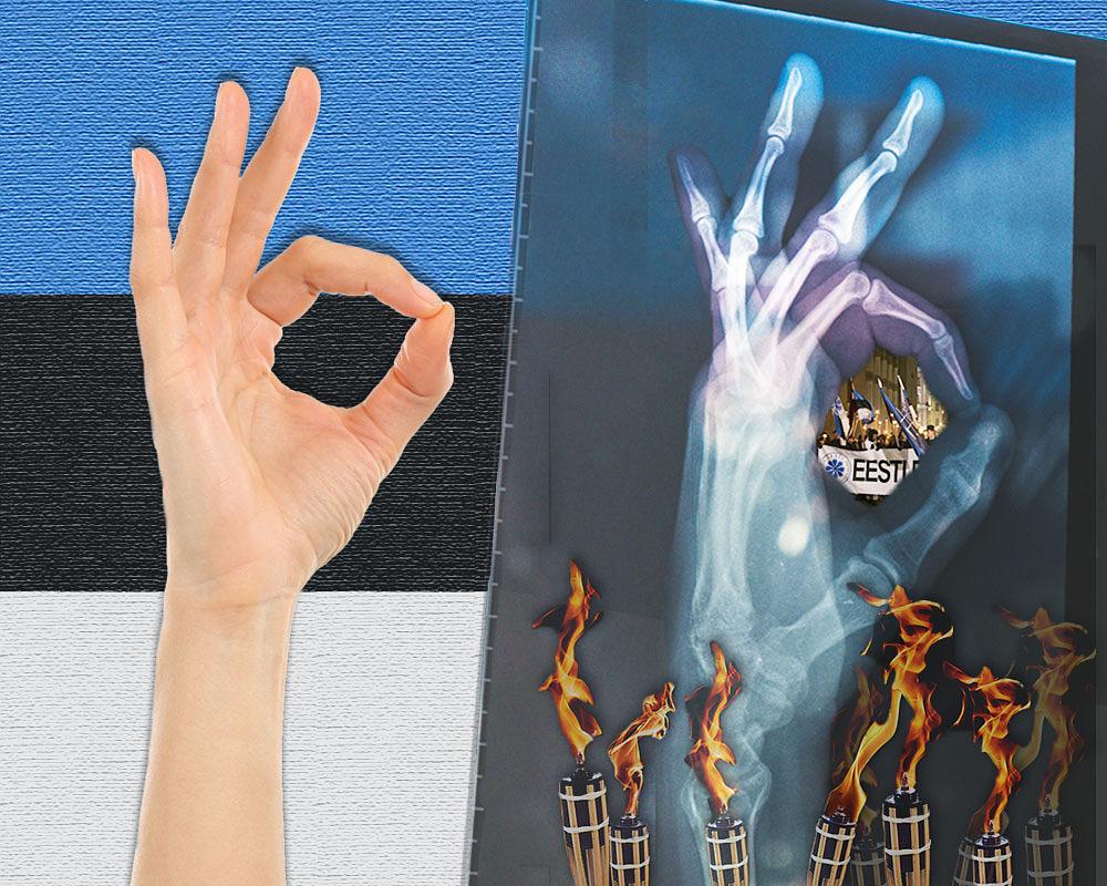 White Power in Estonia