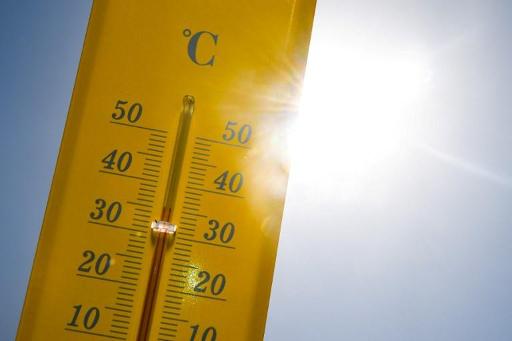 2019's June was fourth hottest since 1901, report IRM