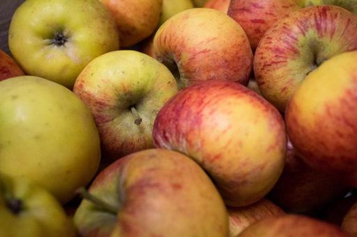 Belgian heatwave wreaks havoc on fruit and vegetable harvests