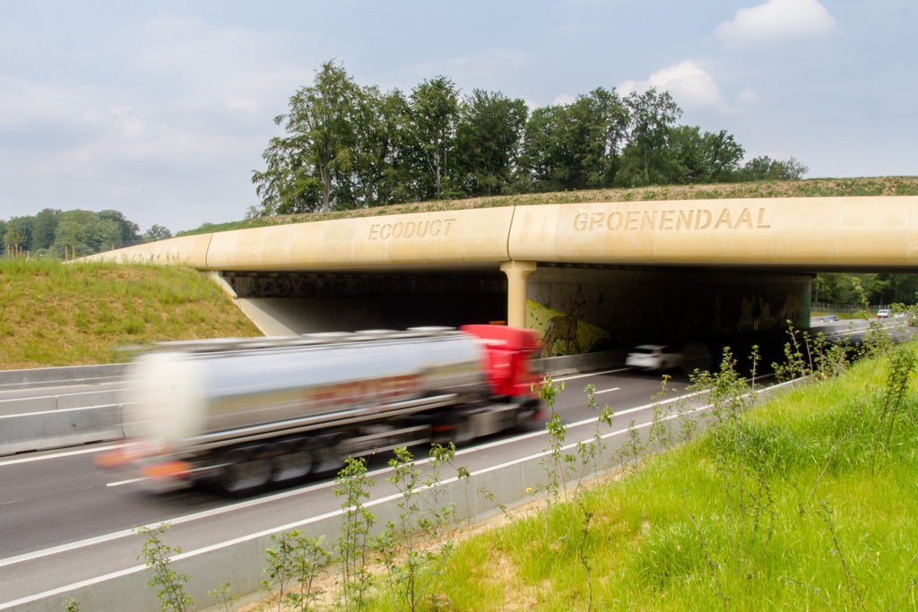 Animals spotted crossing Brussels ring road 'eco bridge'