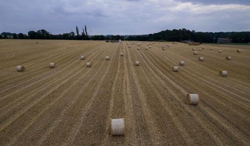 Walloon farmers snub agro-environmental measures