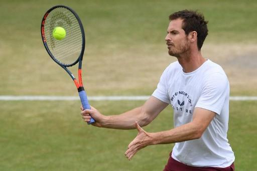 European Open: Andy Murray will play in the Antwerp tournament