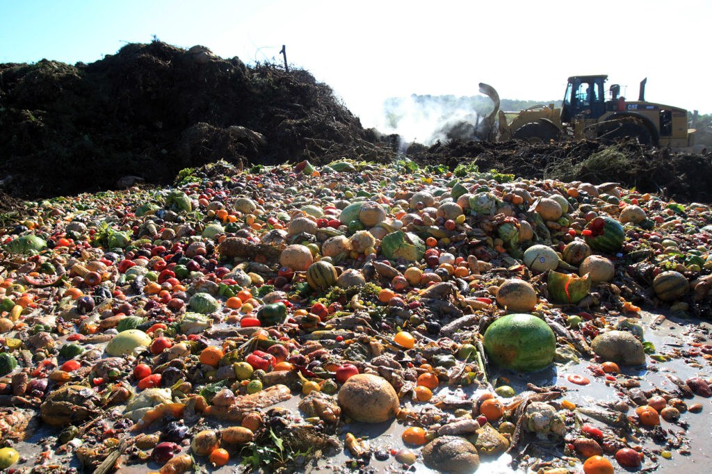 Up to 30% of total food produced worldwide is lost or wasted