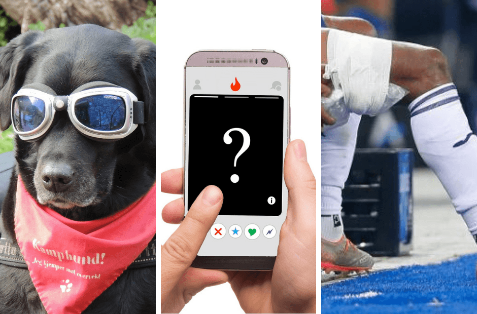 Belgium in Brief: Vlaams Belang on Tinder, dog on the ring-road and Vincent Kompany injured