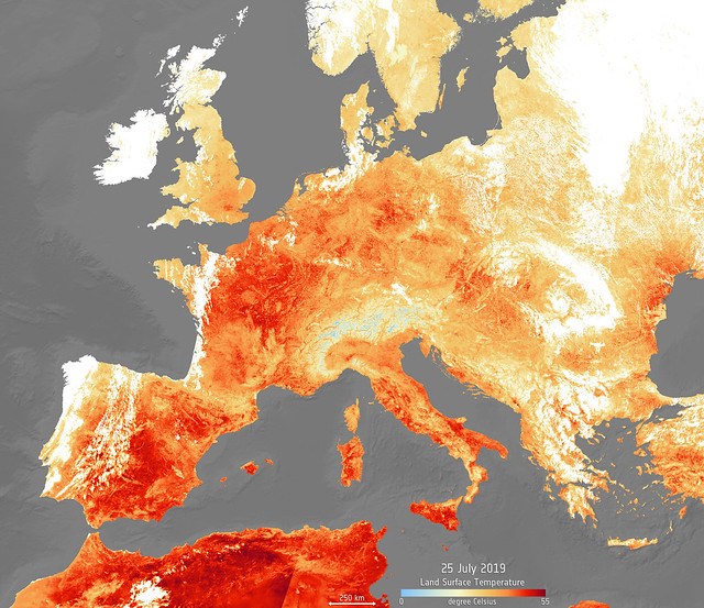 July was the hottest month on record in the world