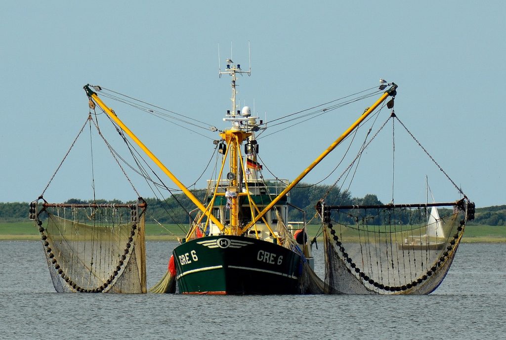 Ban on electric fishing in Belgian waters
