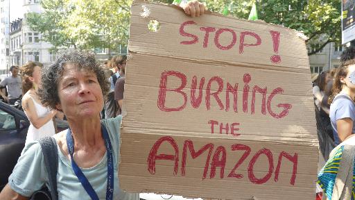 Fires in the Amazon: dozens protest in front of the Brazilian Embassy in Brussels ( Photos)