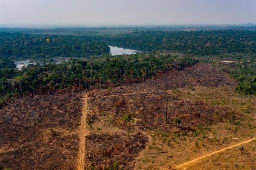 Deforestation affects the forest, the rivers and “the entire biosphere”, experts warn