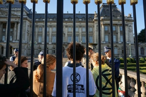 Climate activists arrested at Royal Palace in Brussels (photos)