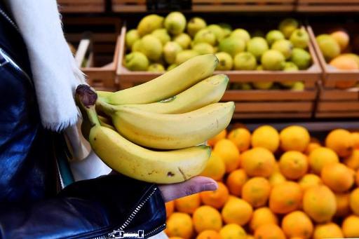 Discount bananas seriously impacting prices, Fairtrade warns