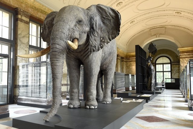Shooting an Elephant: History and memory in the Tervuren Museum