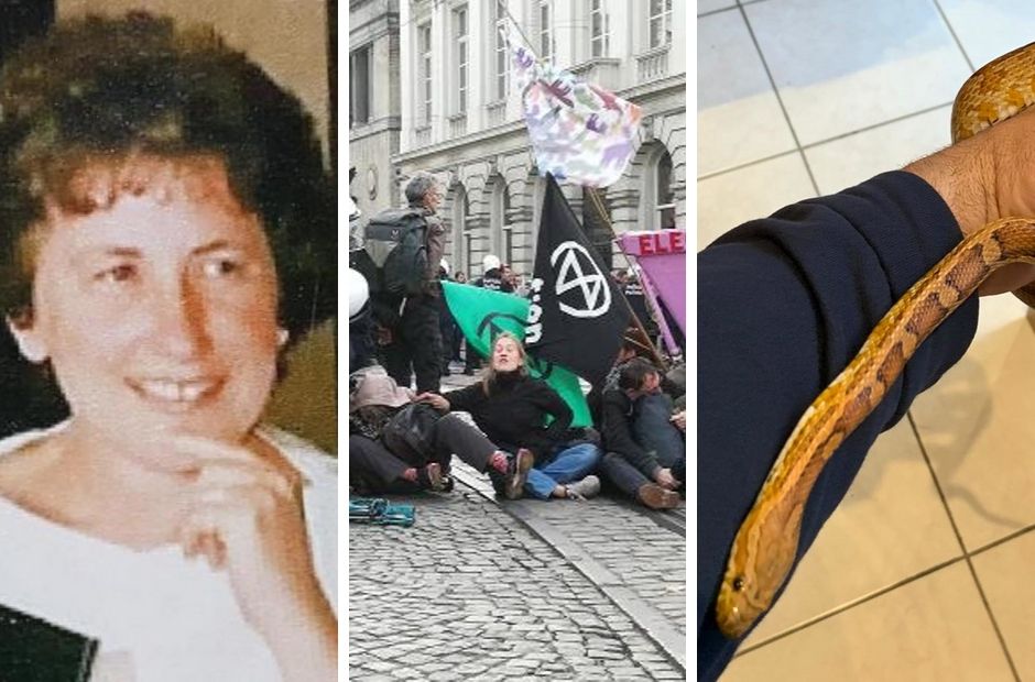 Belgium in Brief: Criminal found dead, police in the spotlight and snake in Brussels restaurant