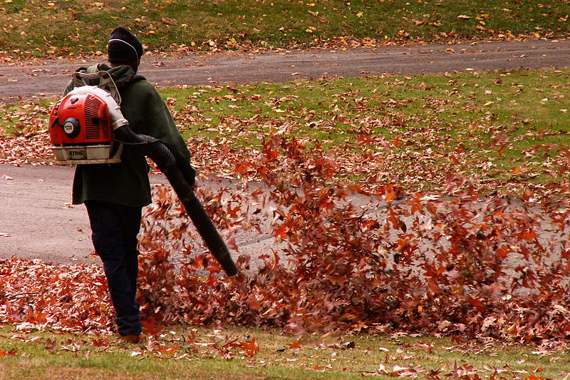 Flemish municipality to ban leaf blowers due to pollution