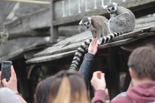 Open Day for 2,000 children from poor backgrounds at Pairi Daiza