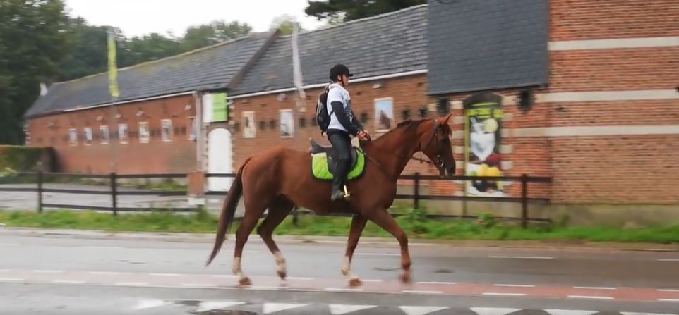 Girl rides to school on horseback after bus failed to show up for 10th time