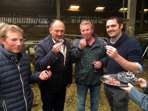 Farmers turn to video to encourage Walloons to eat local beef