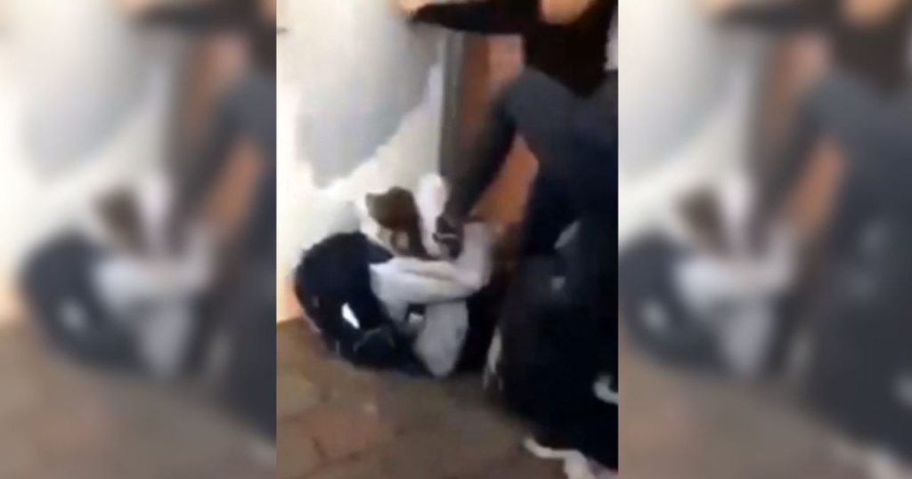 Girl (13) beaten up and kicked while other pupils filmed at school gate in Antwerp