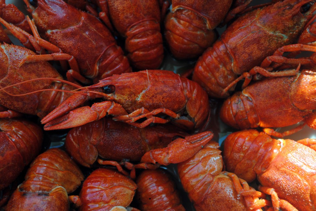 Gourmand burglars steal €5,000 worth of lobsters, oysters and foie gras