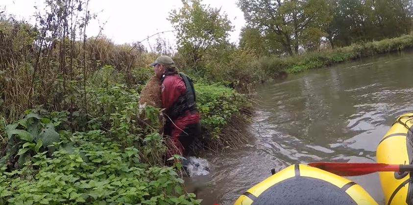 Belgian kayakers save little calf from river in Flemish Brabant province