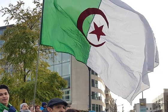 Over 2,000 people protest in Brussels against upcoming presidential election in Algeria