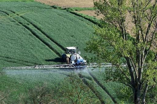 EU Member States agree to ban controversial insecticide