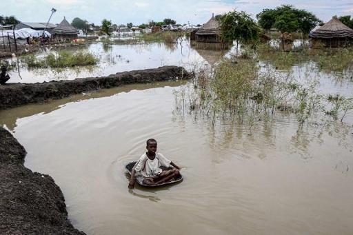 Climate disasters force 20 million people from their homes each year