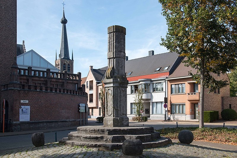 Suspect of fatal hit and run accident in Antwerp faces Flanders court