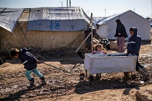 Over 500 deaths, mostly children, in Al-Hol camp in 2019