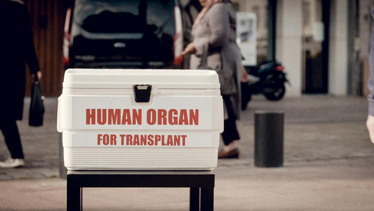 Record number of over 380,000 Belgians registered as organ donors
