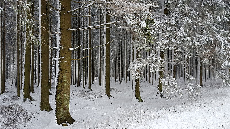 Snow predicted in Belgium on Tuesday after 'atypical' warm period