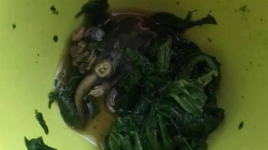Brussels woman finds frozen mouse in Colruyt spinach