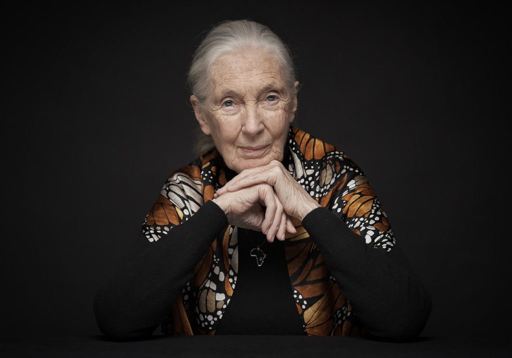 University of Hasselt awards honorary degree to Jane Goodall