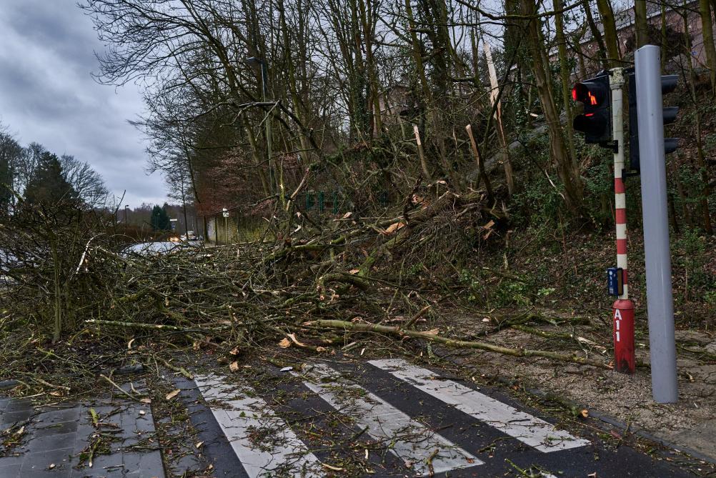 Storm Ciara: What's the damage in Belgium?