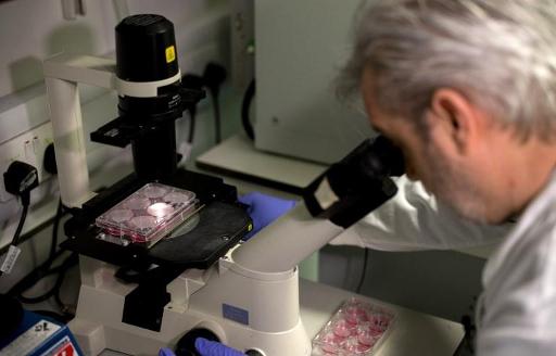 Coronavirus: British researchers begin vaccine tests on rats