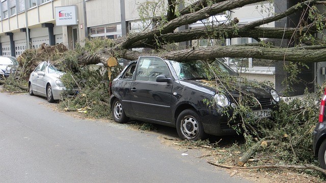 Storm 'Ciara' on Sunday: how to protect yourself and your property