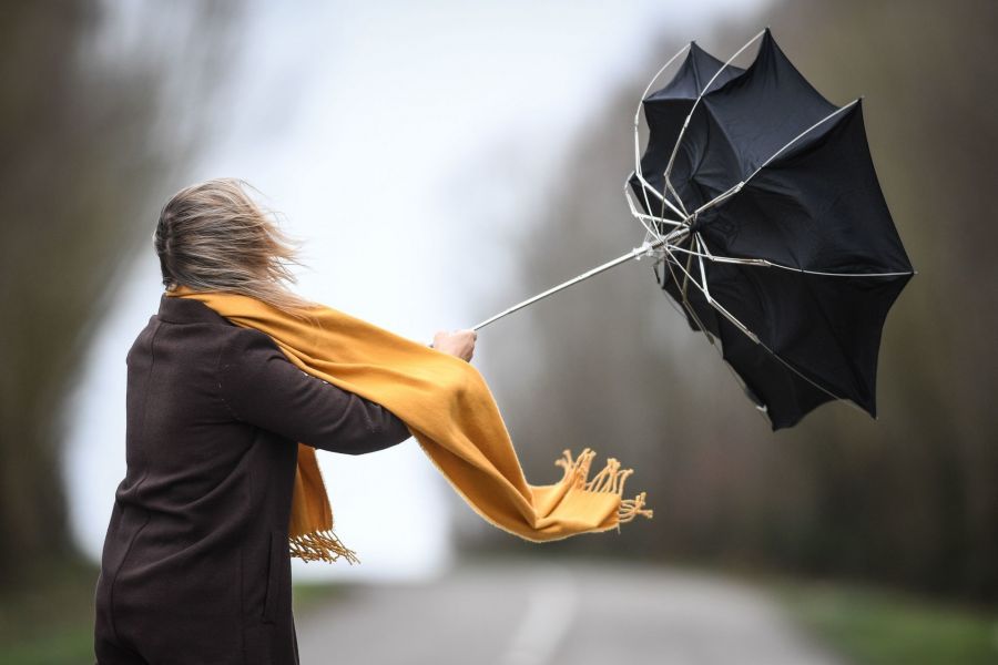 75 km/h winds expected on Thursday