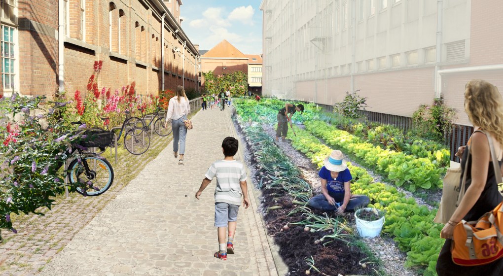 Water, plants and bikes to dominate new Usquare neighbourhood in Ixelles