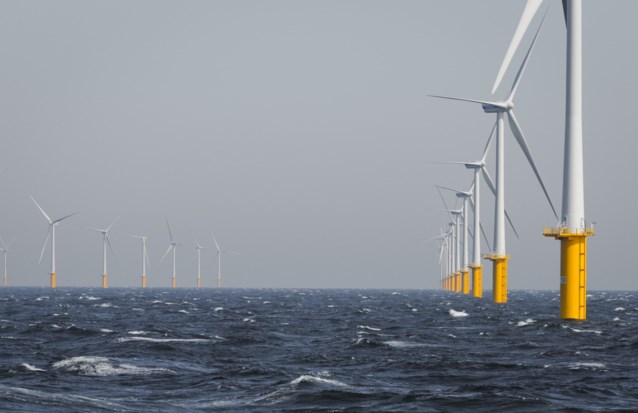 Offshore wind turbines run at capacity in storm but energy prices hardly budge