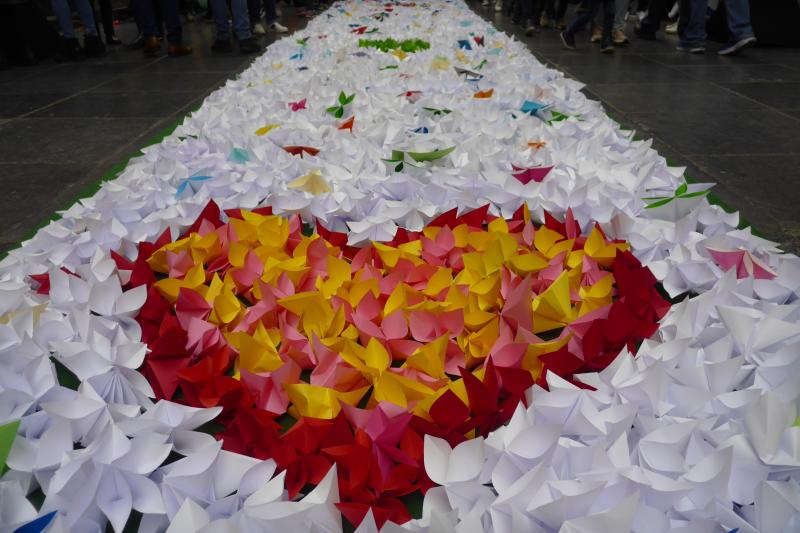 10,000 flowers for rare illnesses in Brussels gallery