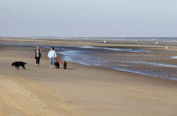 Belgian coastal Mayors propose phased reopening of beaches