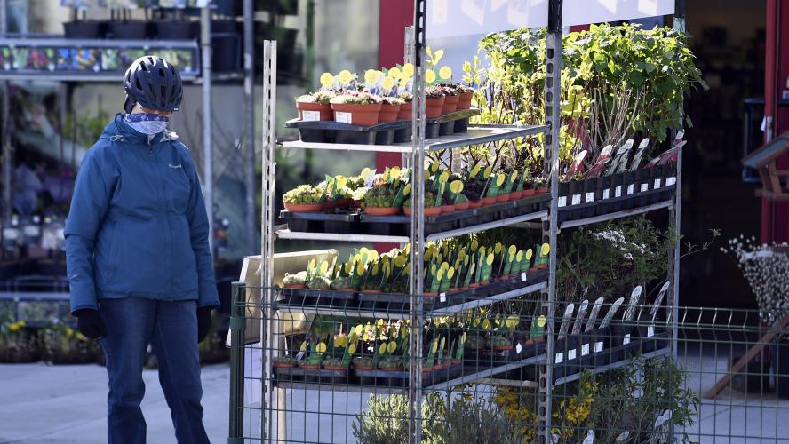 Garden and DIY shops reopen as Belgium loosens lockdown