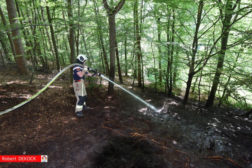 Fire in Brussels' Sonian Forest sparked by 'careless passerby'