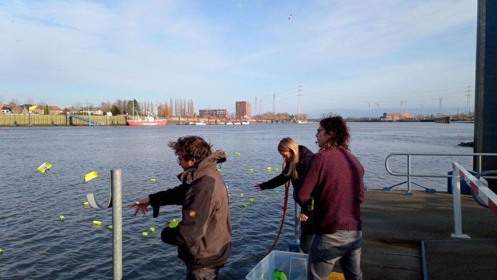 Researchers throw plastic into the River Scheldt, in the name of science