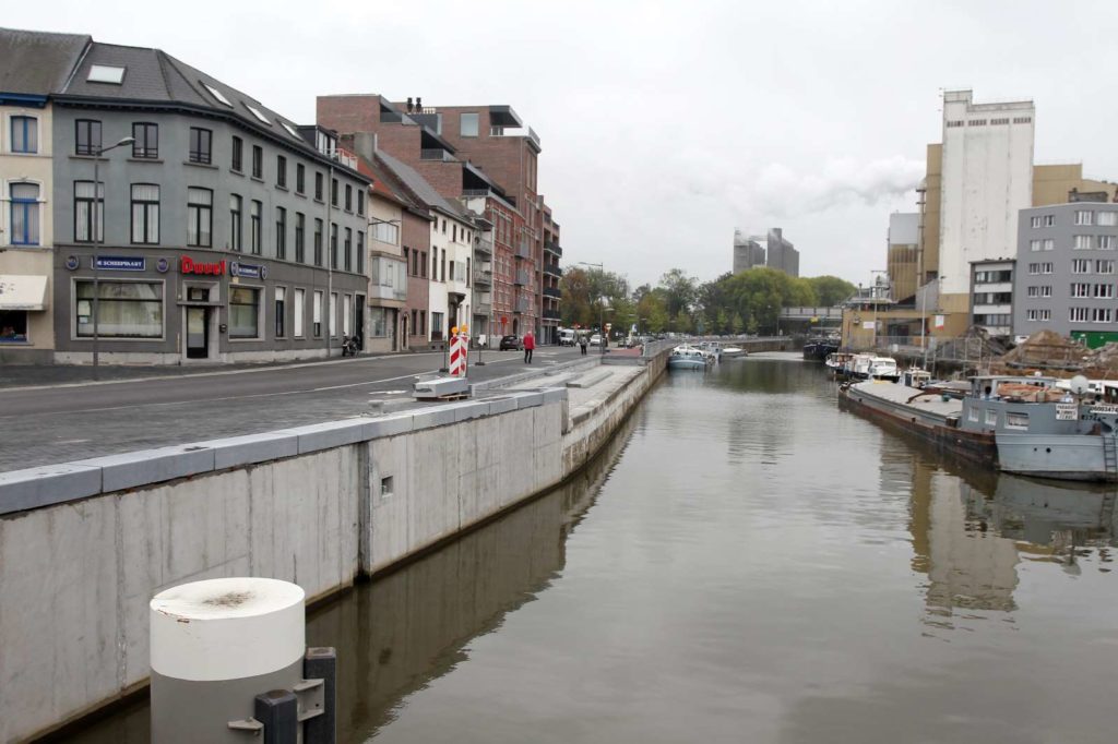 Fish in Belgian rivers die due to lack of oxygen