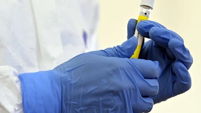 Belgium's new coronavirus cases continue to go down