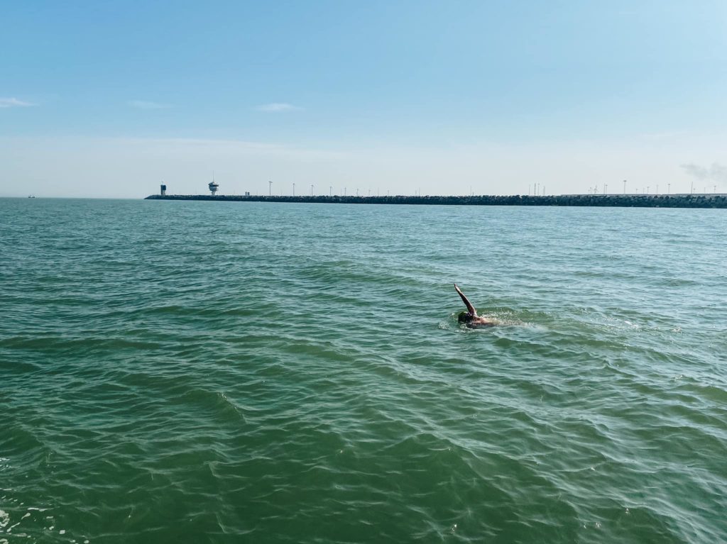World record: Belgian man swims along country coast in under 24 hours