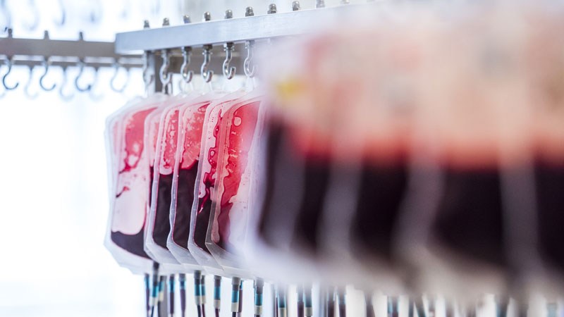Belgians urged to donate extra blood after summer
